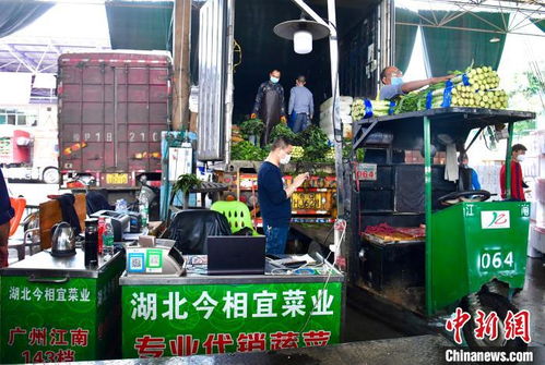 廣州開啟湖北農副產品采購熱潮，助力農業復蘇