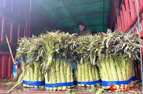 新春走基層 24小時不打烊，守護萬家煙火氣——走訪華東最大農副產品集散地