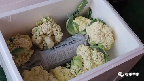 情深山海 芒市270余噸農(nóng)副產(chǎn)品馳援青浦