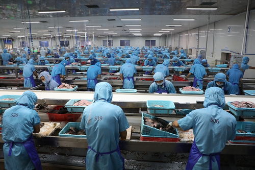 火熱的預(yù)制菜市場 內(nèi)藏海南農(nóng)業(yè)高質(zhì)量發(fā)展的致富密碼