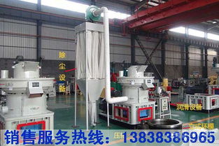 綠色寶庫 蔬菜的營養價值與飲食智慧